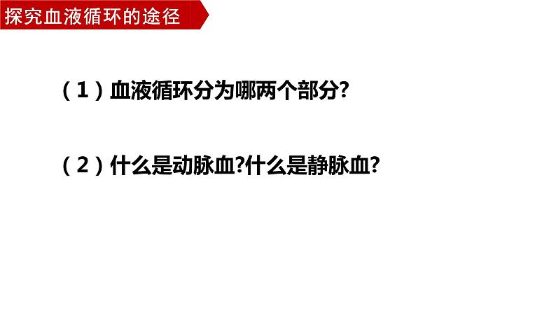 4.4.3输送血液的泵—心脏（第二课时1）课件2021--2022学年人教版生物七年级下册第3页