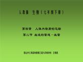 4.4.2血流的管道——血管课件2021－2022学年人教版七年级生物下册