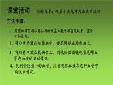 4.4.2血流的管道——血管课件2021－2022学年人教版七年级生物下册