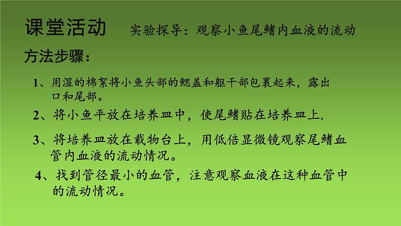 4.4.2血流的管道——血管课件2021－2022学年人教版七年级生物下册04