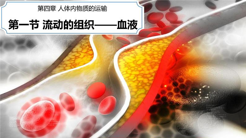 4.4.1流动的组织——血液课件2021-2022学年人教版生物 七年级下册第1页