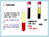 4.4.1流动的组织——血液课件2021-2022学年人教版生物 七年级下册