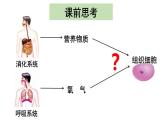 4.4.1流动的组织--血液课件2021-2022学年 人教版生物七年级下册