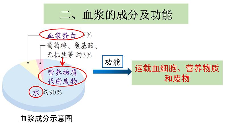 4.4.1流动的组织--血液课件2021-2022学年 人教版生物七年级下册第7页