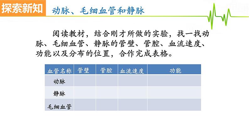 4.4.2血流的管道——血管课件2021-2022学年人教版生物七年级下册08