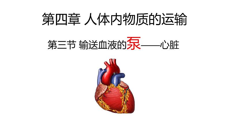 4.4.3输送血液的泵——心脏课件2021--2022学年人教版七年级下册生物01