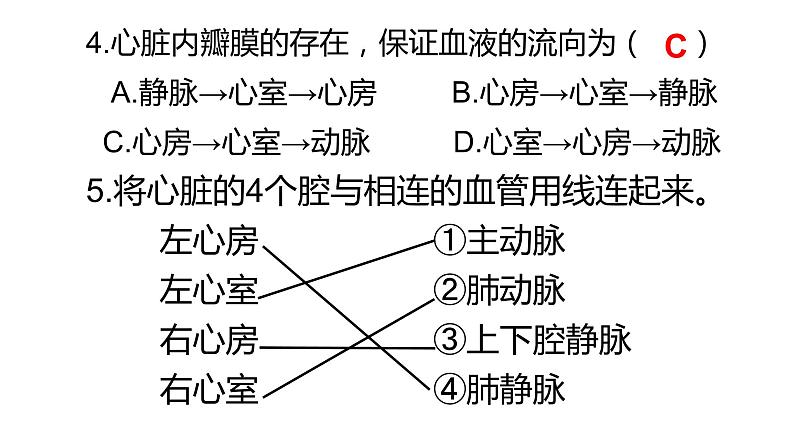 4.4.3输送血液的泵——心脏课件2021--2022学年人教版七年级下册生物08