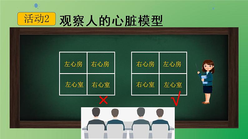 4.4.3输送血液的泵—心脏课件2021--2022学年人教版生物七年级下册04