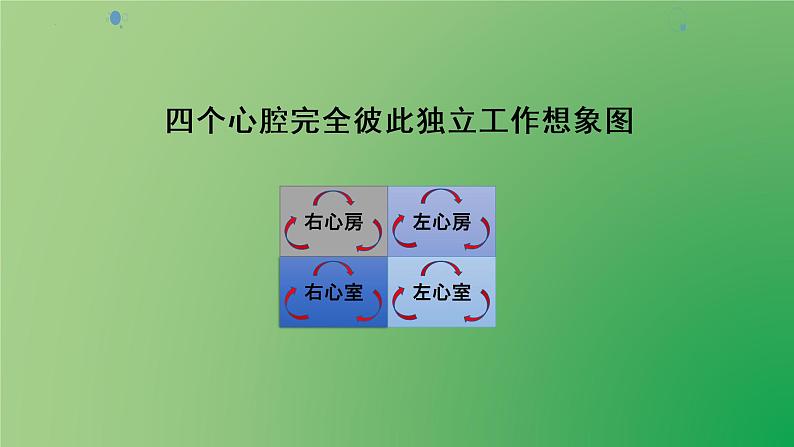 4.4.3输送血液的泵—心脏课件2021--2022学年人教版生物七年级下册07