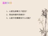 4.4.4输血与血型课件2021-2022学年人教版 七年级生物下册