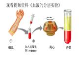 4.4.1流动的组织——血液课件2021--2022学年人教版生物七年级下册