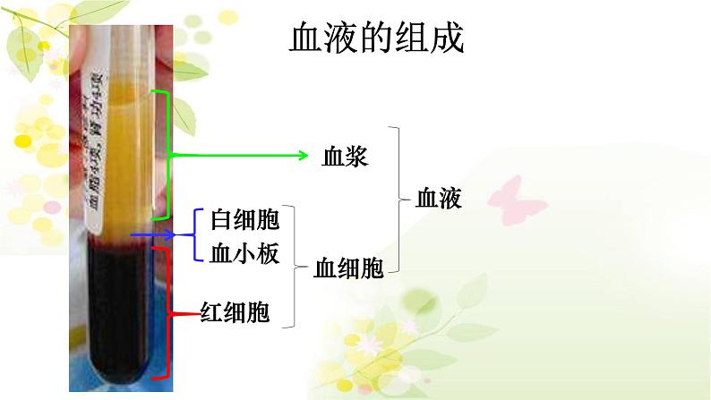 4.4.1流动的组织——血液课件2021--2022学年人教版生物七年级下册第7页