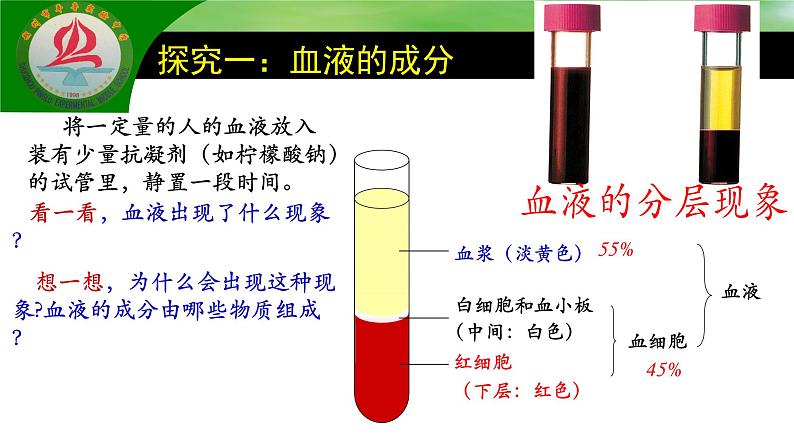 4.4.1流动的组织--血液课件2021--2022学年人教版生物七年级下册06