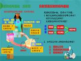 4.6.3神经的基本调节的方式课件2021-2022学年人教版生物七年级下册