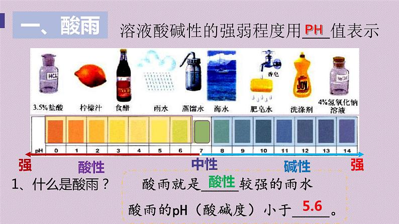 4.7.2探究环境污染对生物的影课件2020-2021学年人教版七年级下册生物第4页