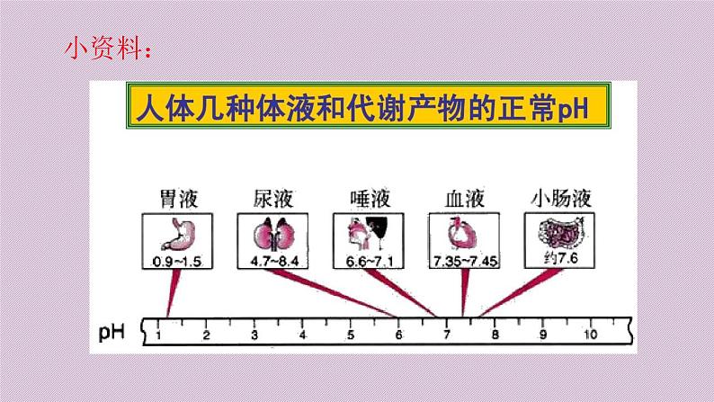 4.7.2探究环境污染对生物的影课件2020-2021学年人教版七年级下册生物第5页