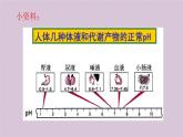 4.7.2探究环境污染对生物的影课件2020-2021学年人教版七年级下册生物