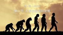 初中生物人教版 (新课标)七年级下册第四单元 生物圈中的人第一章 人的由来第一节 人的起源和发展教课ppt课件