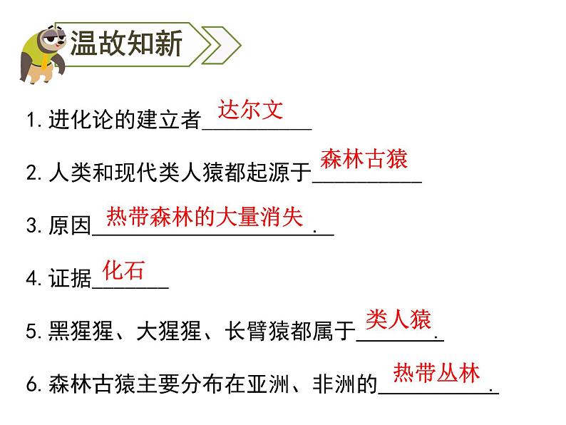 4.1第一章人的由来复习课件2020-2021学年人教版七年级生物下册02