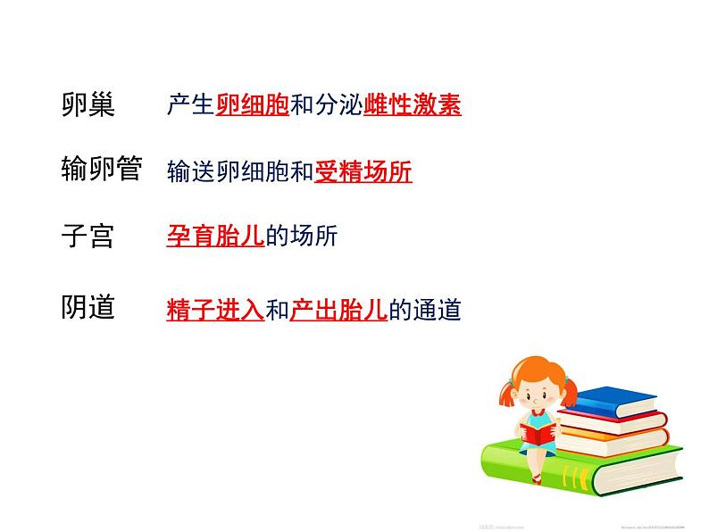 4.1第一章人的由来复习课件2020-2021学年人教版七年级生物下册06