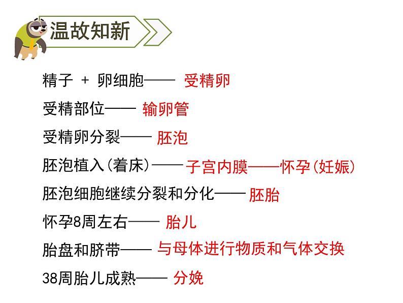 4.1第一章人的由来复习课件2020-2021学年人教版七年级生物下册07