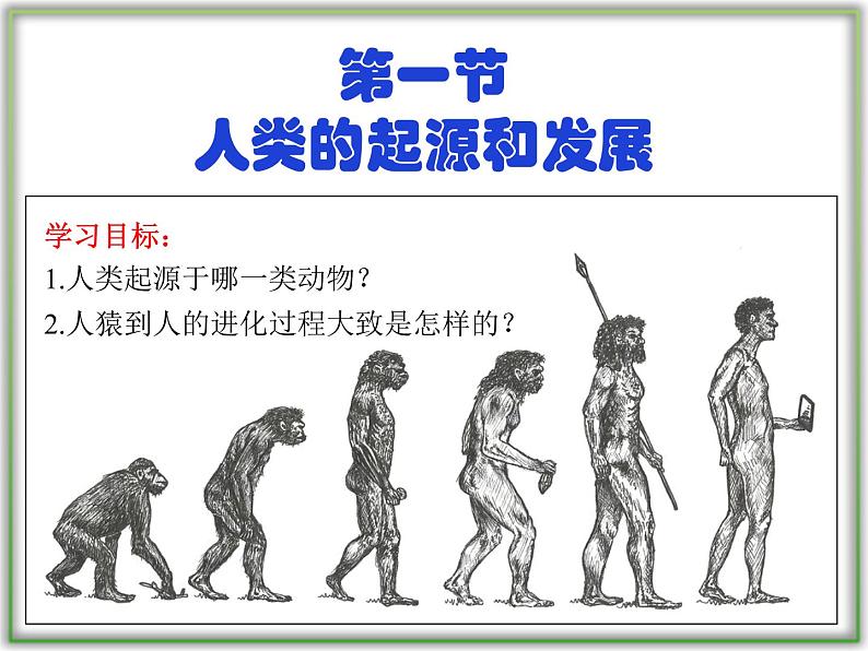 4.1.1人类的起源和发展课件2021--2022学年 人教版生物七年级下册第3页