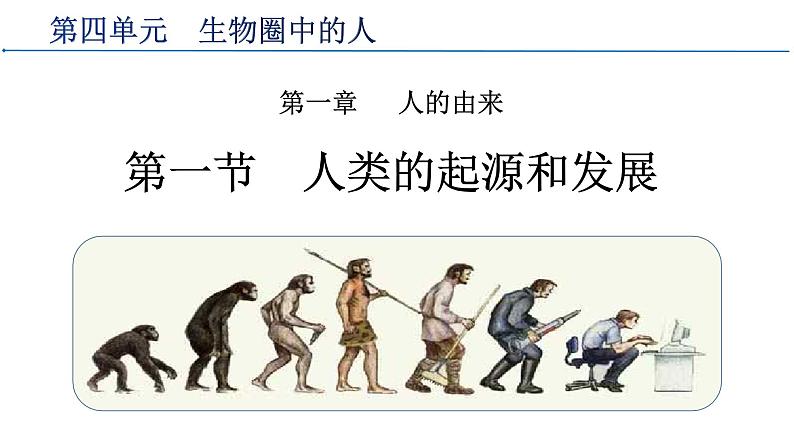 4.1.1人类的起源和发展课件2021-2022学年人教版七年级生物下册02