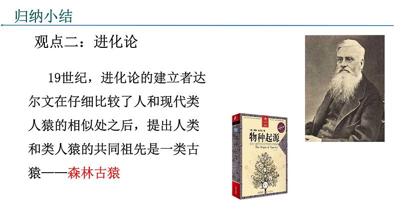 4.1.1人类的起源和发展课件2021-2022学年人教版七年级生物下册05