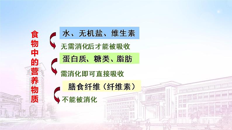 4.2.2消化与吸收课件2021--2022学年七年级下册生物人教版第3页