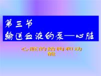 生物人教版 (新课标)第三节 输送血液的泵──心脏教学演示课件ppt