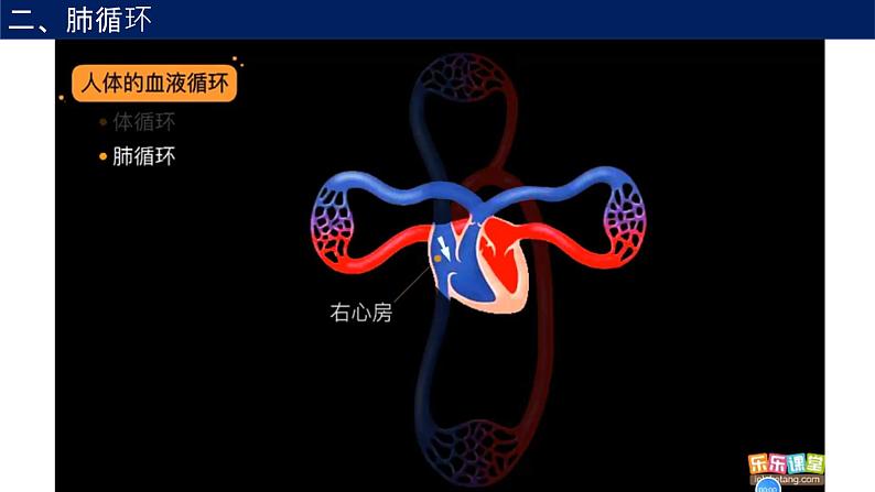 4.3输送血液的泵—心脏课件2021--2022学年人教版生物七年级下册第8页