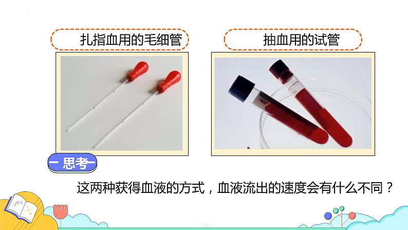 4.4.2血流的管道——血管课件2021-2022学年人教版生物七年级下册第4页