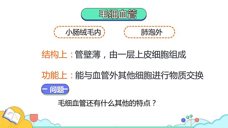 4.4.2血流的管道——血管课件2021-2022学年人教版生物七年级下册第7页