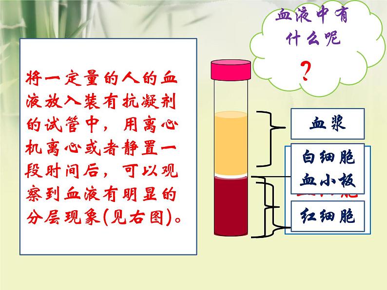 4.4.1流动的组织—— 血液课件2021--2022学年人教版生物七年级下册04