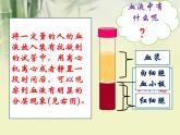 4.4.1流动的组织—— 血液课件2021--2022学年人教版生物七年级下册