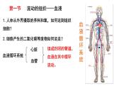 4.4.1流动的组织——血液课件2021-2022学年 人教版生物七年级下册