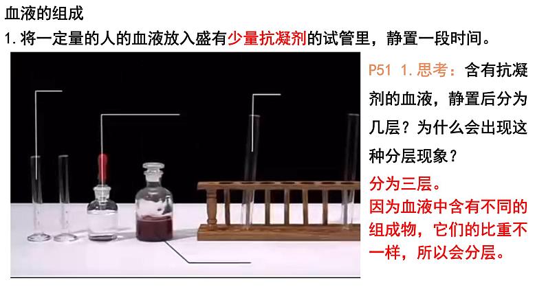 4.4.1流动的组织——血液课件2021-2022学年 人教版生物七年级下册第2页