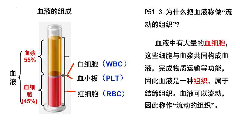 4.4.1流动的组织——血液课件2021-2022学年 人教版生物七年级下册第3页