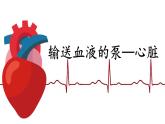 4.4.3输送血液的泵——心脏课件2021-2022学年人教版生物七年级下册