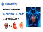 4.4.3运输血液的泵——心脏(第一课时)课件2021--2022学年人教版生物七年级下册