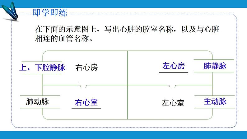 4.4.3运输血液的泵——心脏(第一课时)课件2021--2022学年人教版生物七年级下册第7页