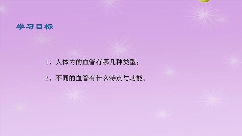 4.4.2血流的管道—血管课件2021-2022学年人教版七年级生物下册03