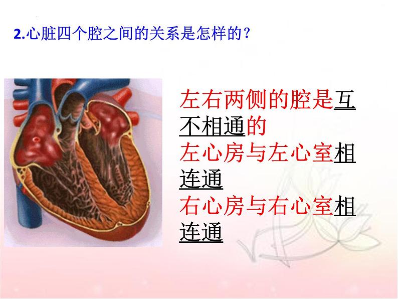 4.4.3输送血液的泵—心脏课件2021-2022学年人教版七年级生物下册第8页