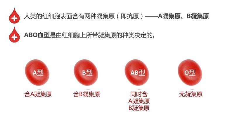 4.4.4输血与血型课件2021-2022学年人教版七年级生物下册第8页