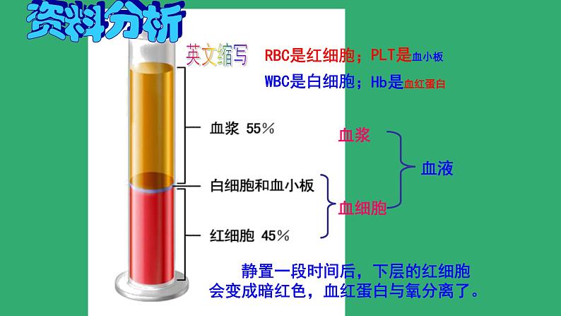 4.4.1流动的组织----血液课件2021-2022学年人教版生物七年级下册04