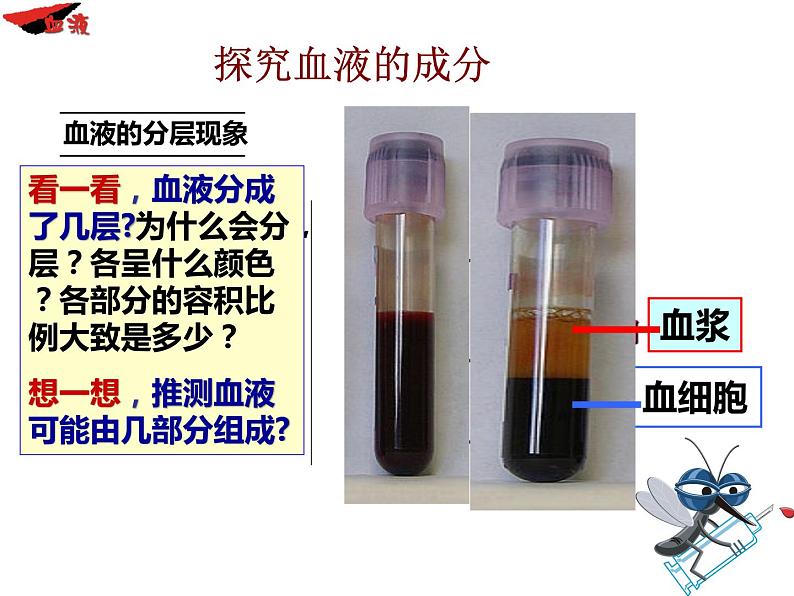 4.4.1流动的组织--血液课件2021-2022学年人教版生物七年级下册05