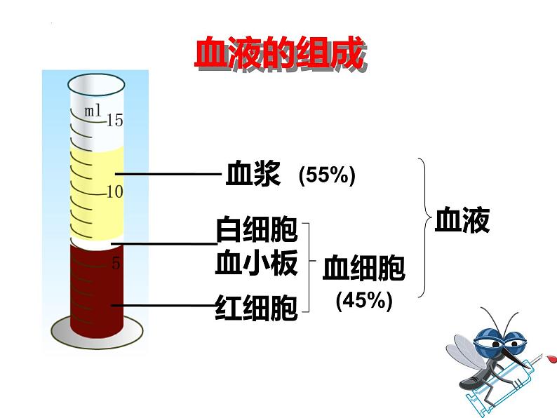 4.4.1流动的组织--血液课件2021-2022学年人教版生物七年级下册06