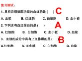 4.4.2血流的管道—血管课件2021--2022学年人教版生物七年级下册