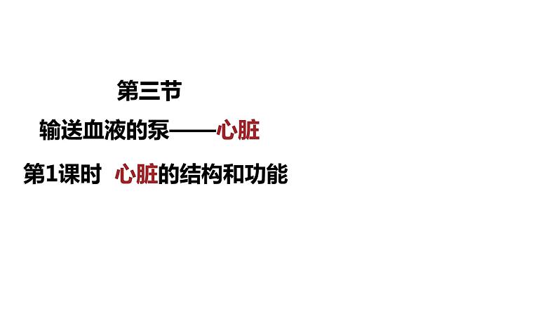 4.4.3输送血液的泵——心脏（第1课时）课件2021--2022学年人教版七年级下册生物第1页