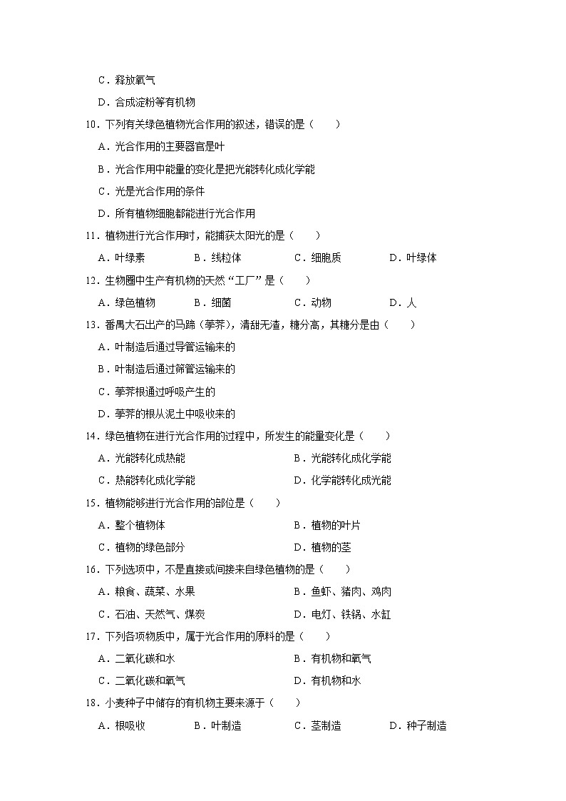 第四章绿色植物是生物圈中有机物的制造者测试题2021--2022学年鲁科版生物六年级下册02